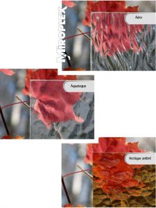 echantilons-verres-web-1